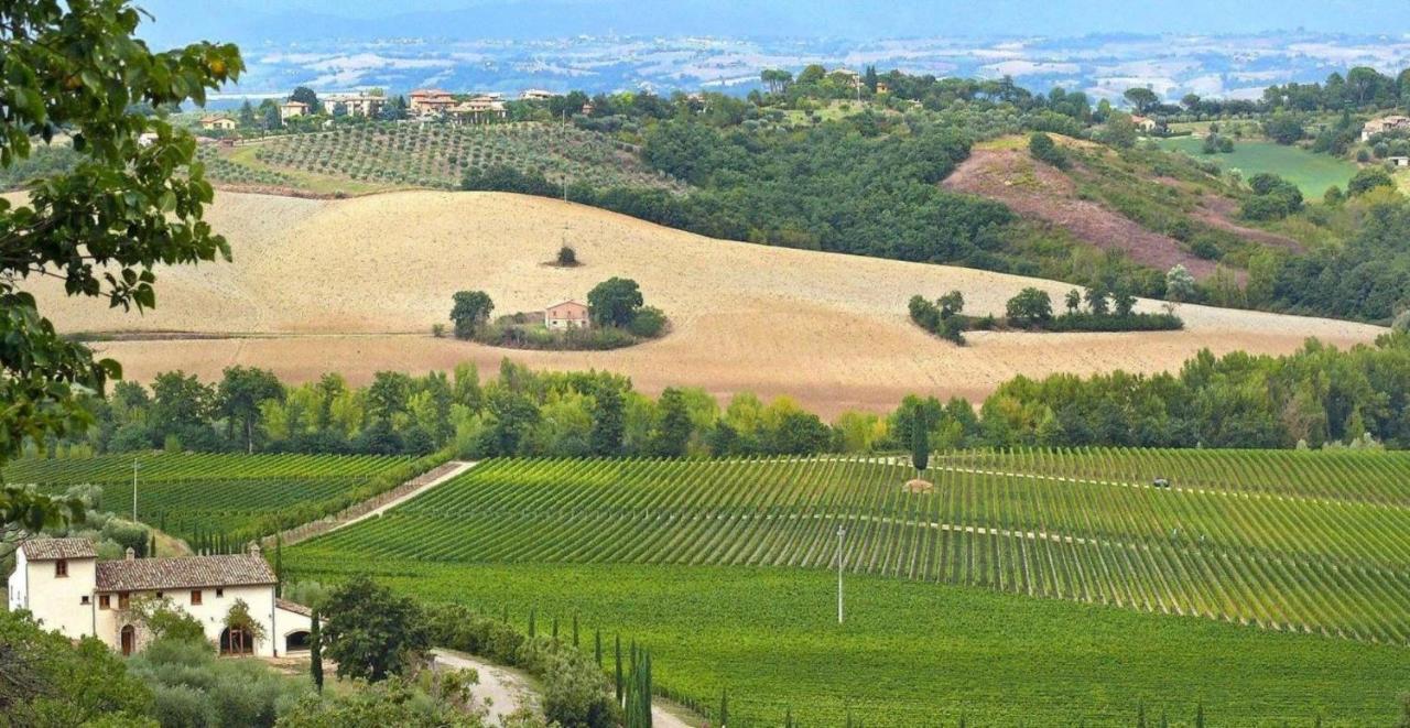 Villa Le Buche 사르티아노 외부 사진